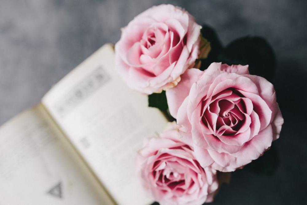 Lovely roseses, book and coffee Lovely roseses, book and coffee