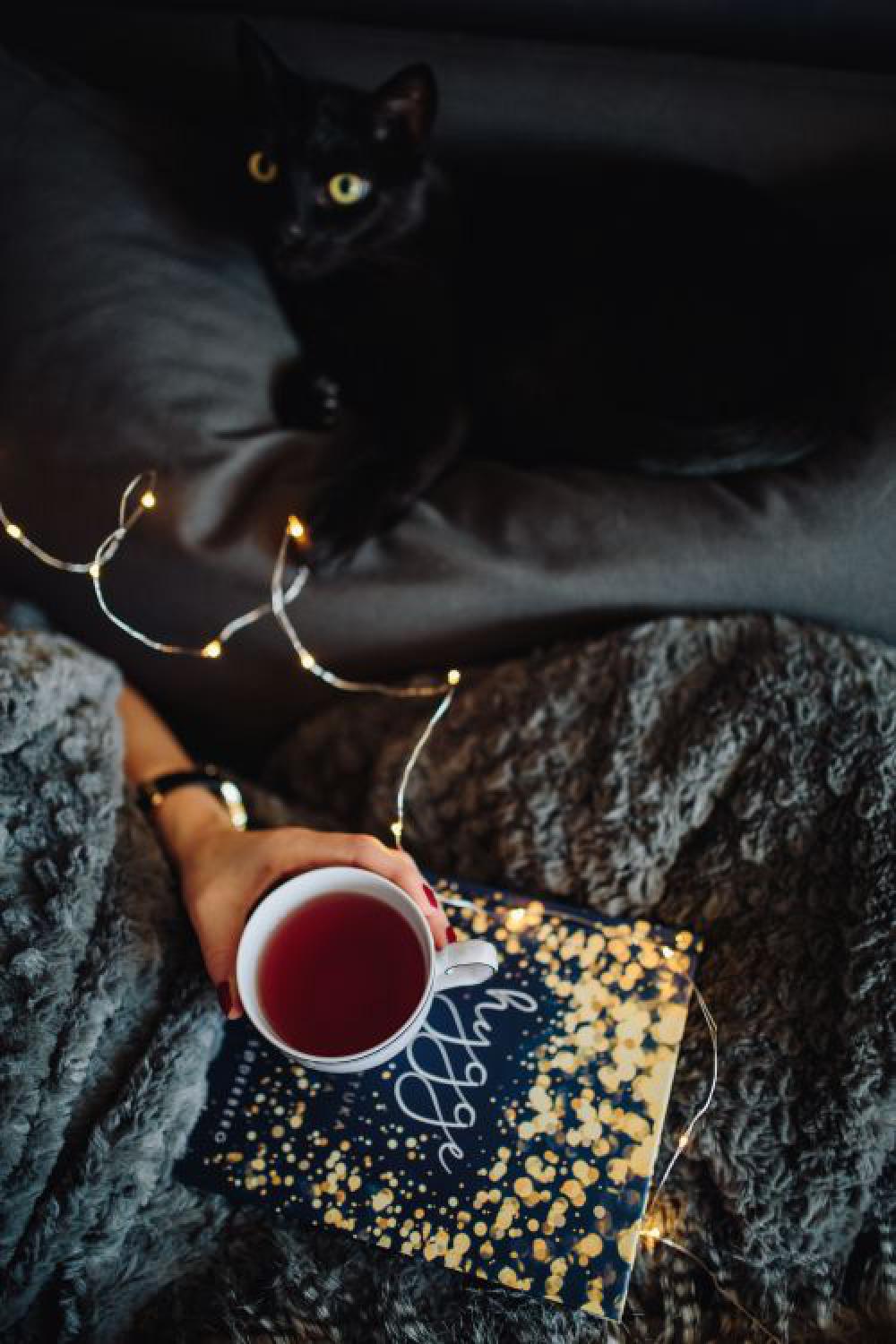 Young woman at home reading Hygge book and drinking Young woman at home reading Hygge book and drinking
