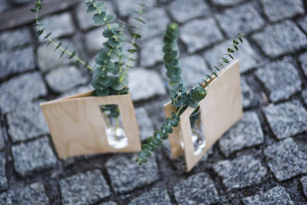 Miniature green plants in small glasses on cobblestone Miniature green plants in small glasses on cobblestone
