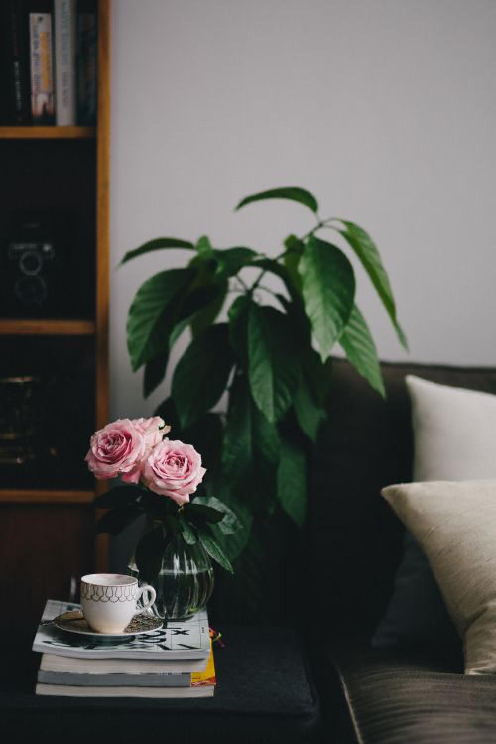 Lovely roseses, book and coffee Lovely roseses, book and coffee