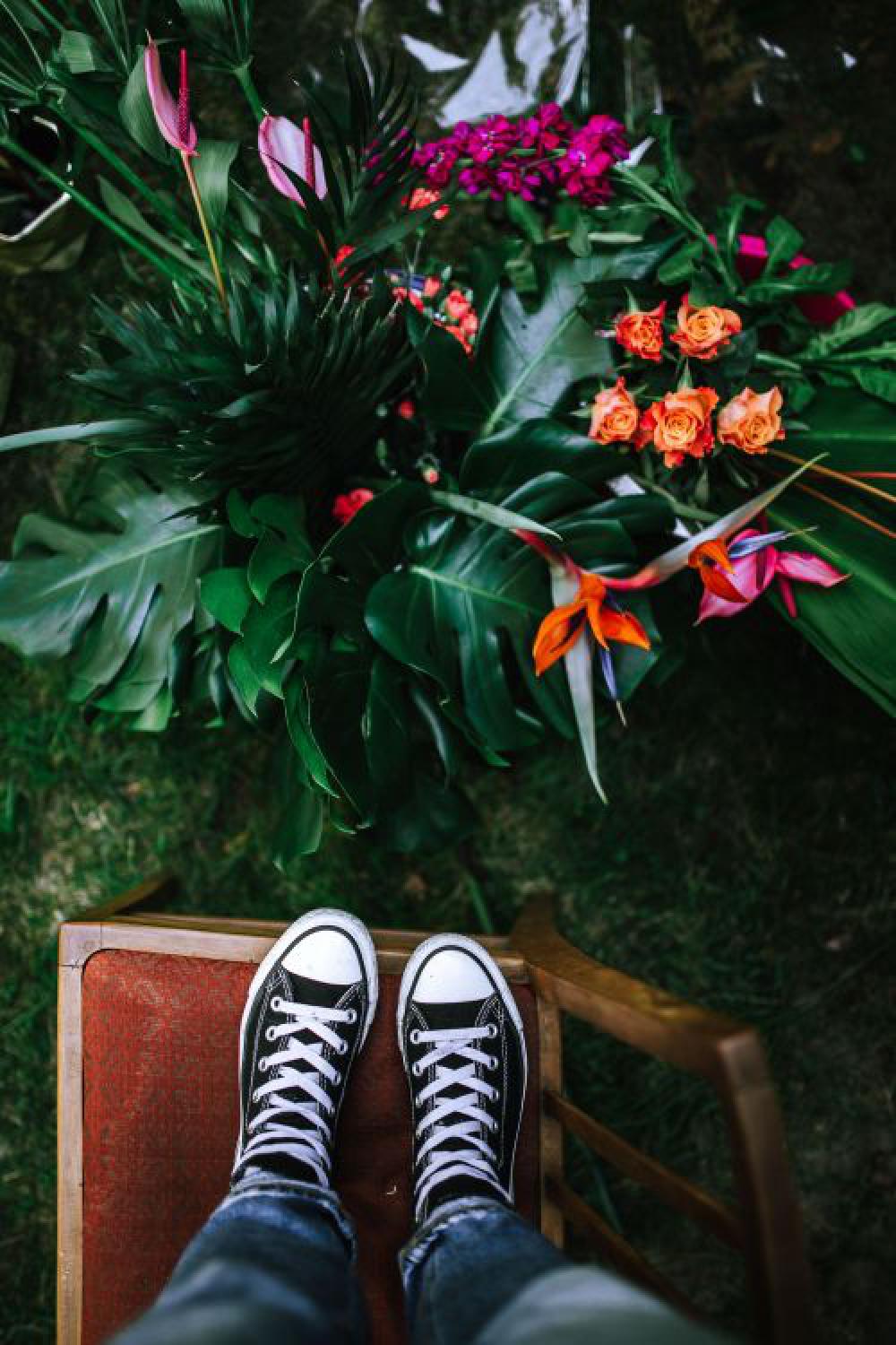 Colorful Exotic Flowers and Greenery Colorful Exotic Flowers and Greenery