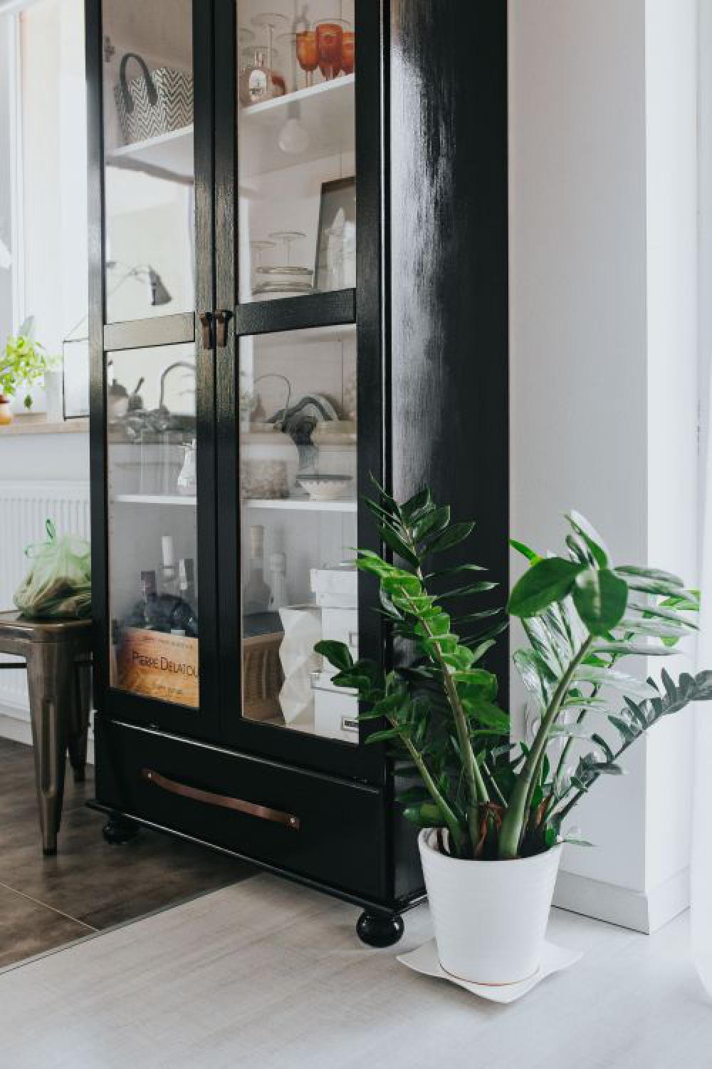 Home decor with green plants Home decor with green plants