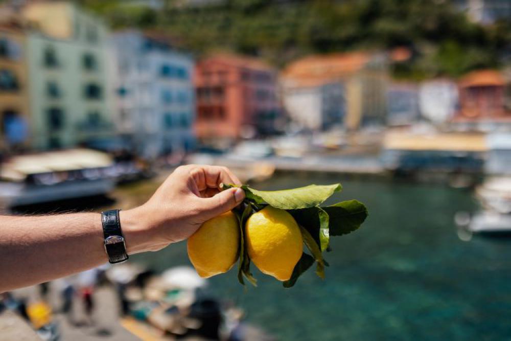 Lemons from Sorrento, Italy Lemons from Sorrento, Italy