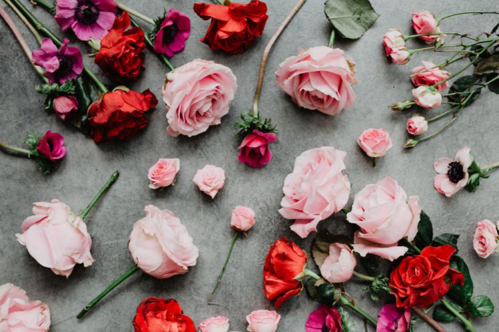 Composition of flowers Composition of flowers