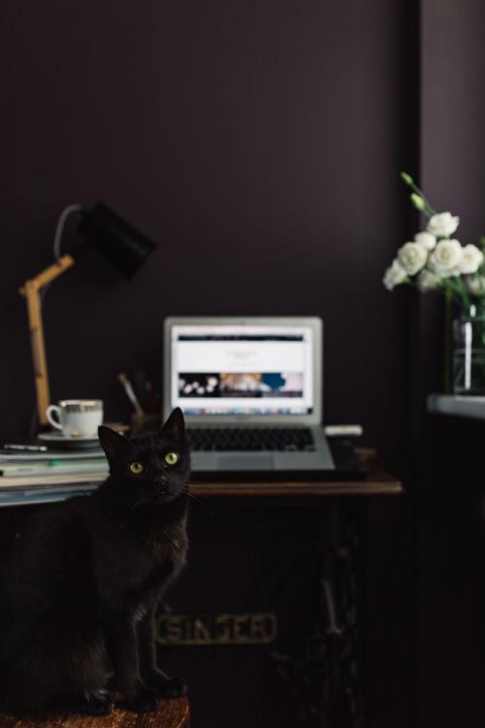 Contemporary home office idea with dark walls Contemporary home office idea with dark walls