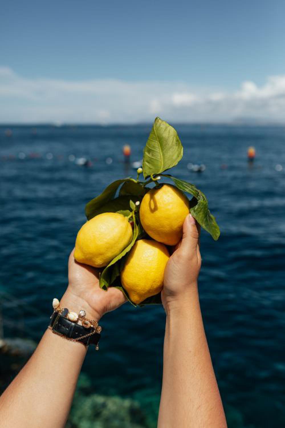 Lemons from Sorrento, Italy Lemons from Sorrento, Italy