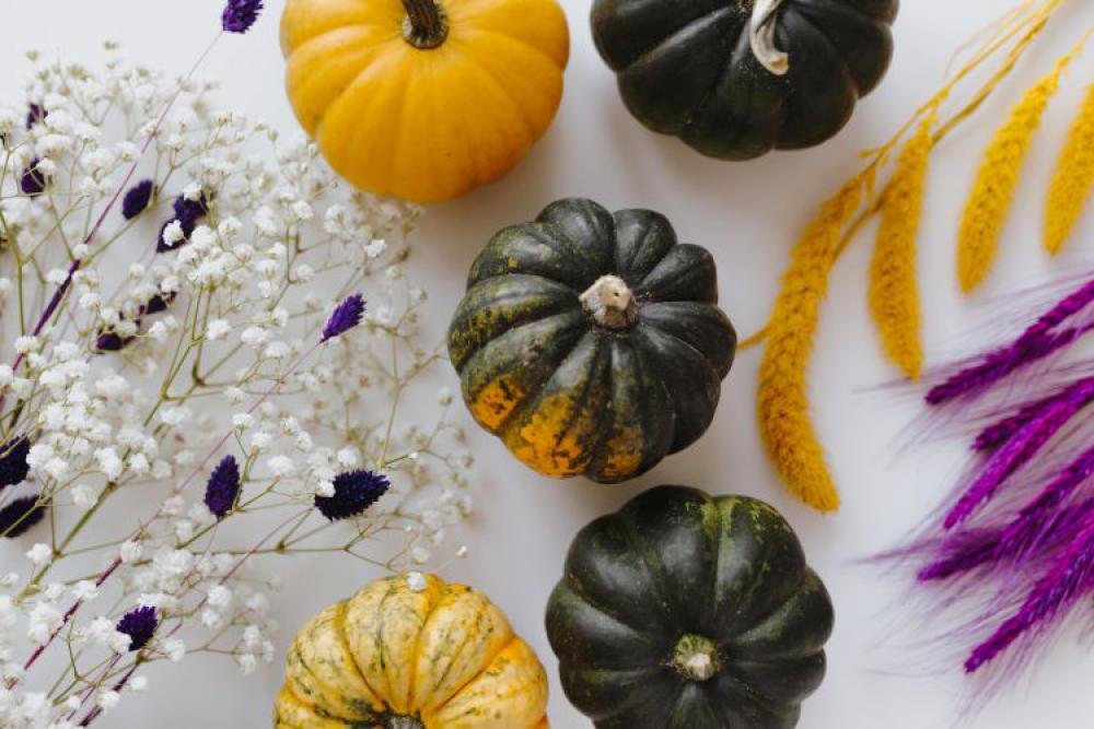 Small yellow and dark green pumpkins on a white background Small yellow and dark green pumpkins on a white background