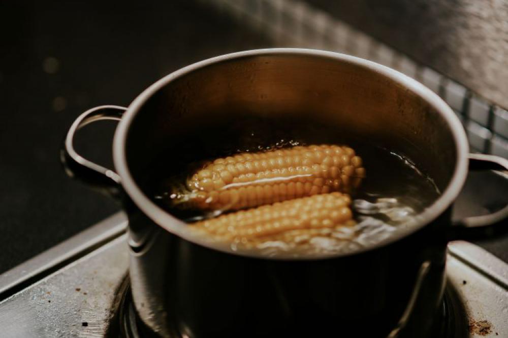 Corncobs Corncobs