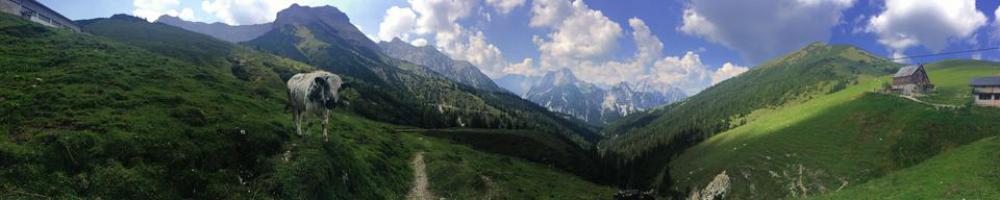 Austria Alp Alps Cow Mountain Lodge Austria Alp Alps Cow Mountain Lodge