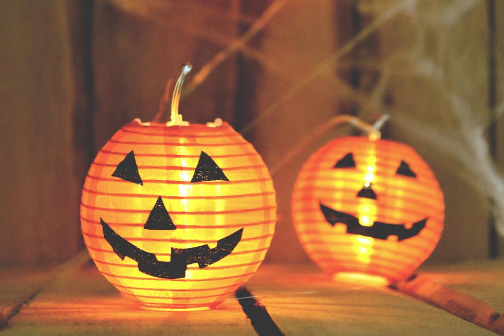 Halloween Pumpkin Lantern Candle Free Photo Halloween Pumpkin Lantern Candle Free Photo