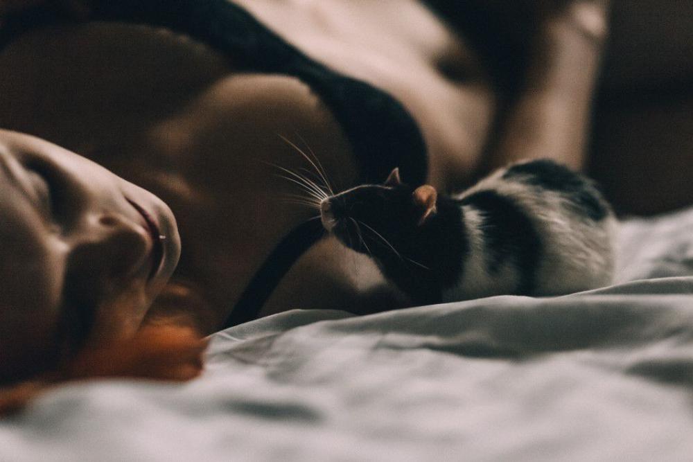 Woman Bed Mouse Free Photo Woman Bed Mouse Free Photo