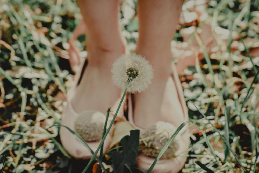 Woman Shoes Dandelion Free Photo Woman Shoes Dandelion Free Photo