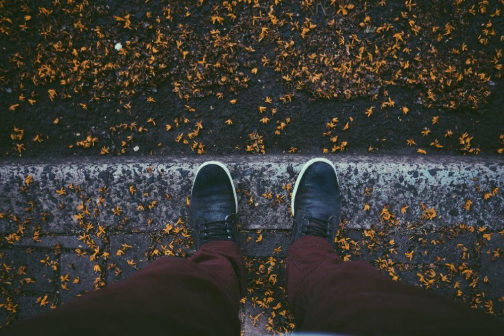 Autumn Leaves Free Photo Autumn Leaves Free Photo