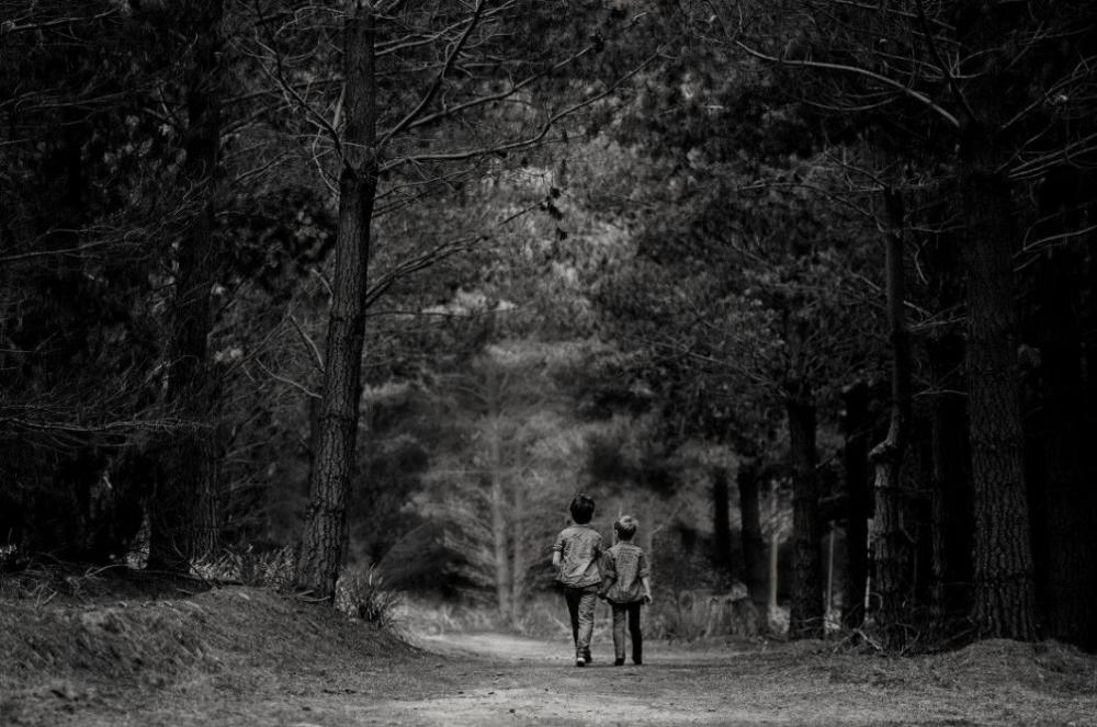 Boys Walking Forest Black White Free Photo Boys Walking Forest Black White Free Photo