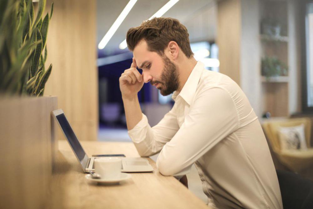 Concentration Work Laptop Man Free Photo Concentration Work Laptop Man Free Photo