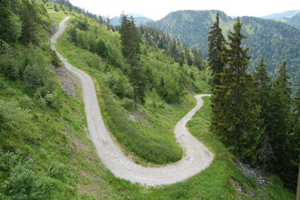 Windy Road Mountain Forest Free Photo Windy Road Mountain Forest Free Photo