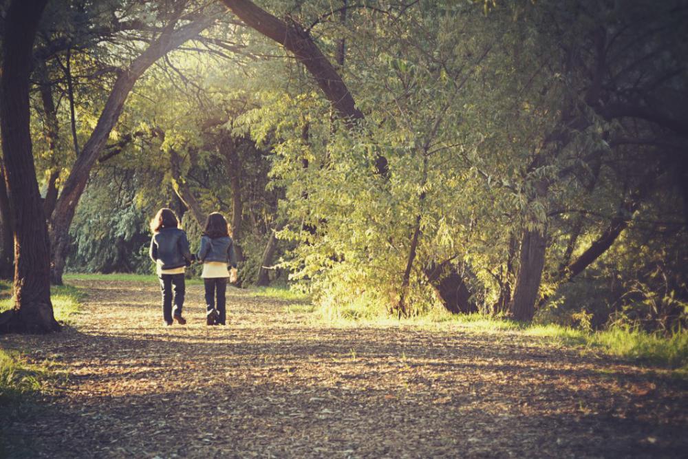 Children Kids Walk Forest Trail Free Photo Children Kids Walk Forest Trail Free Photo