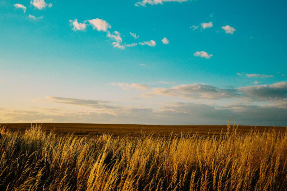 Blue Sky Farm Field Summer Free Photo Blue Sky Farm Field Summer Free Photo