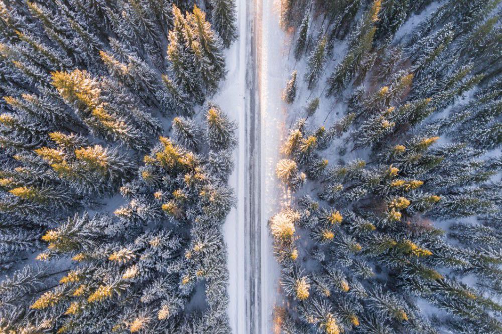 Forest Snow Road Free Photo Forest Snow Road Free Photo