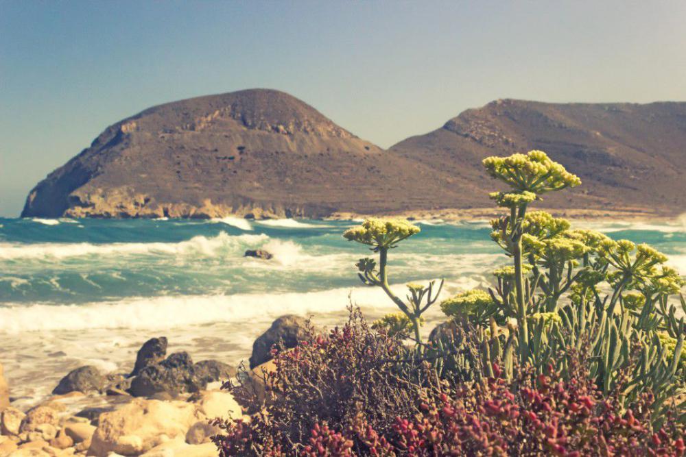 Vintage Seashore Daytime Free Photo Vintage Seashore Daytime Free Photo