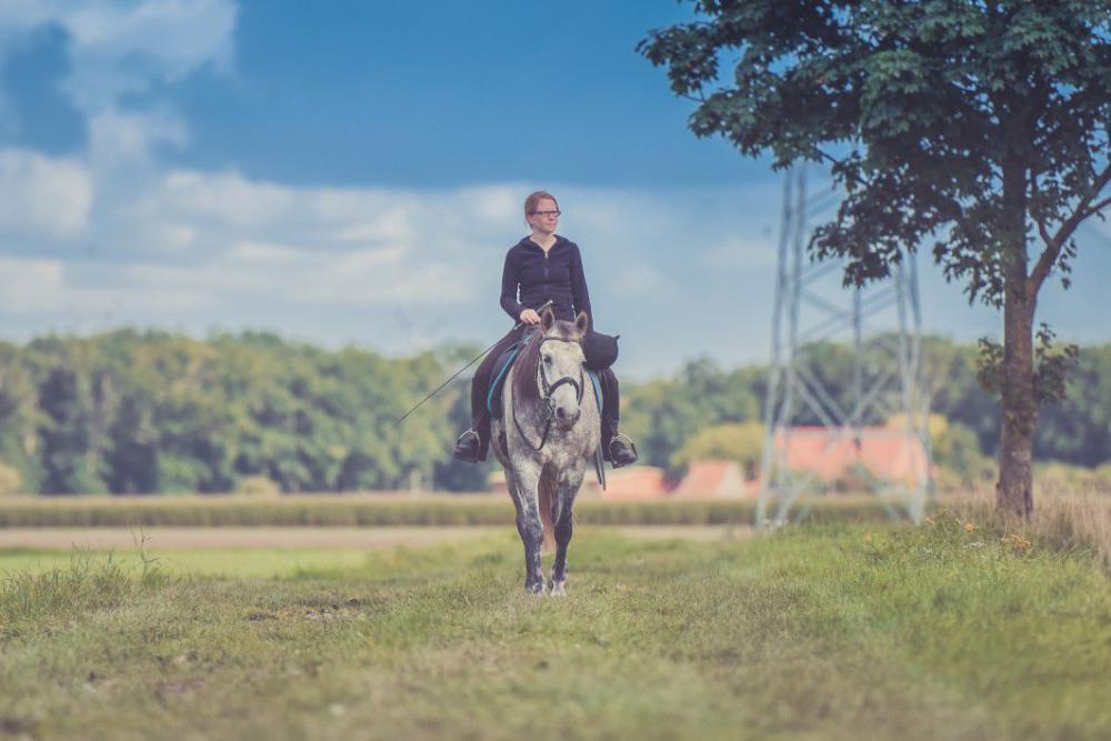 Girl Horse Field Vintage Free Photo Girl Horse Field Vintage Free Photo