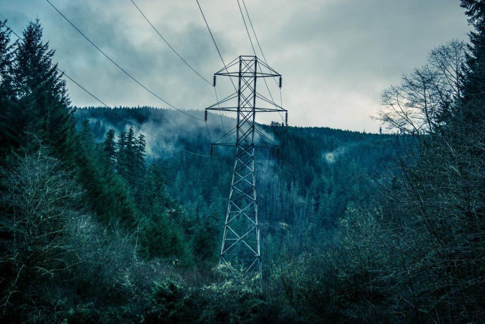 Power Lines Forest Trees Free Photo Power Lines Forest Trees Free Photo
