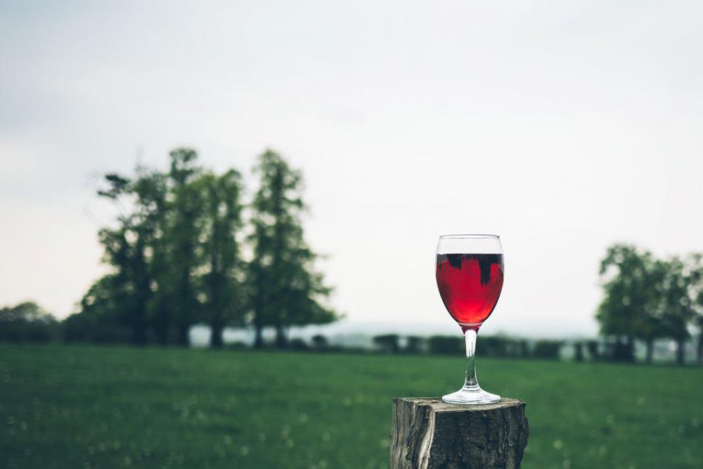 Glass Red Wine Grass Tree Free Photo Glass Red Wine Grass Tree Free Photo