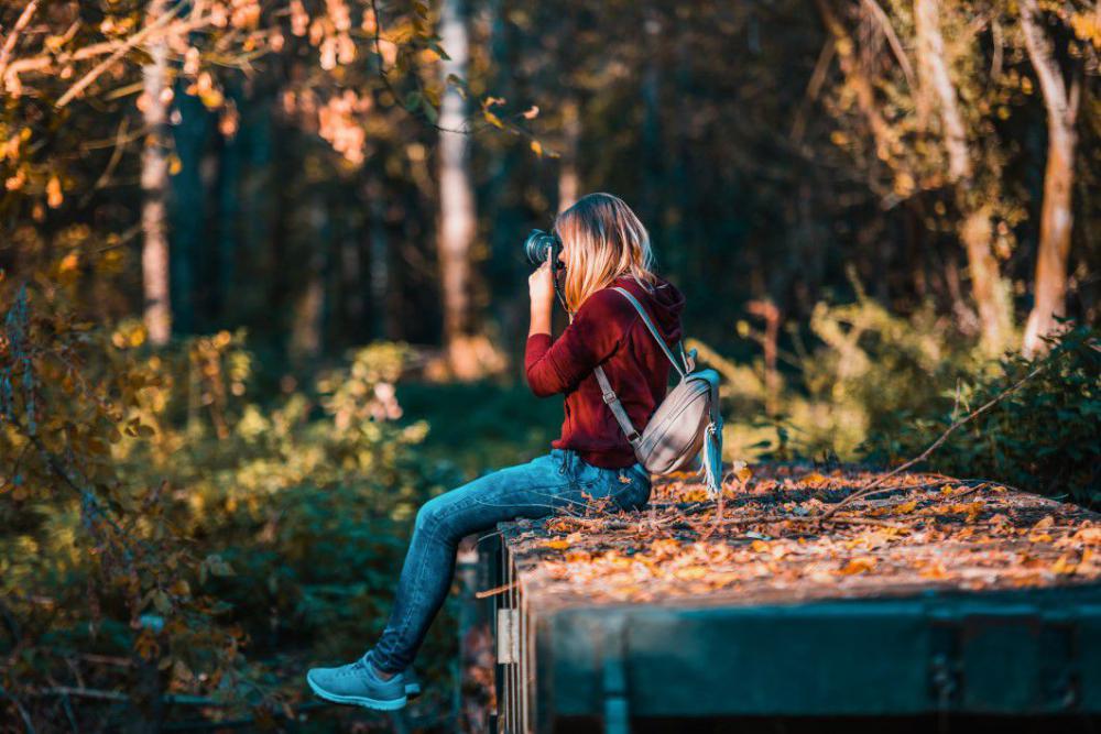 Woman Forest Photographer Free Photo Woman Forest Photographer Free Photo
