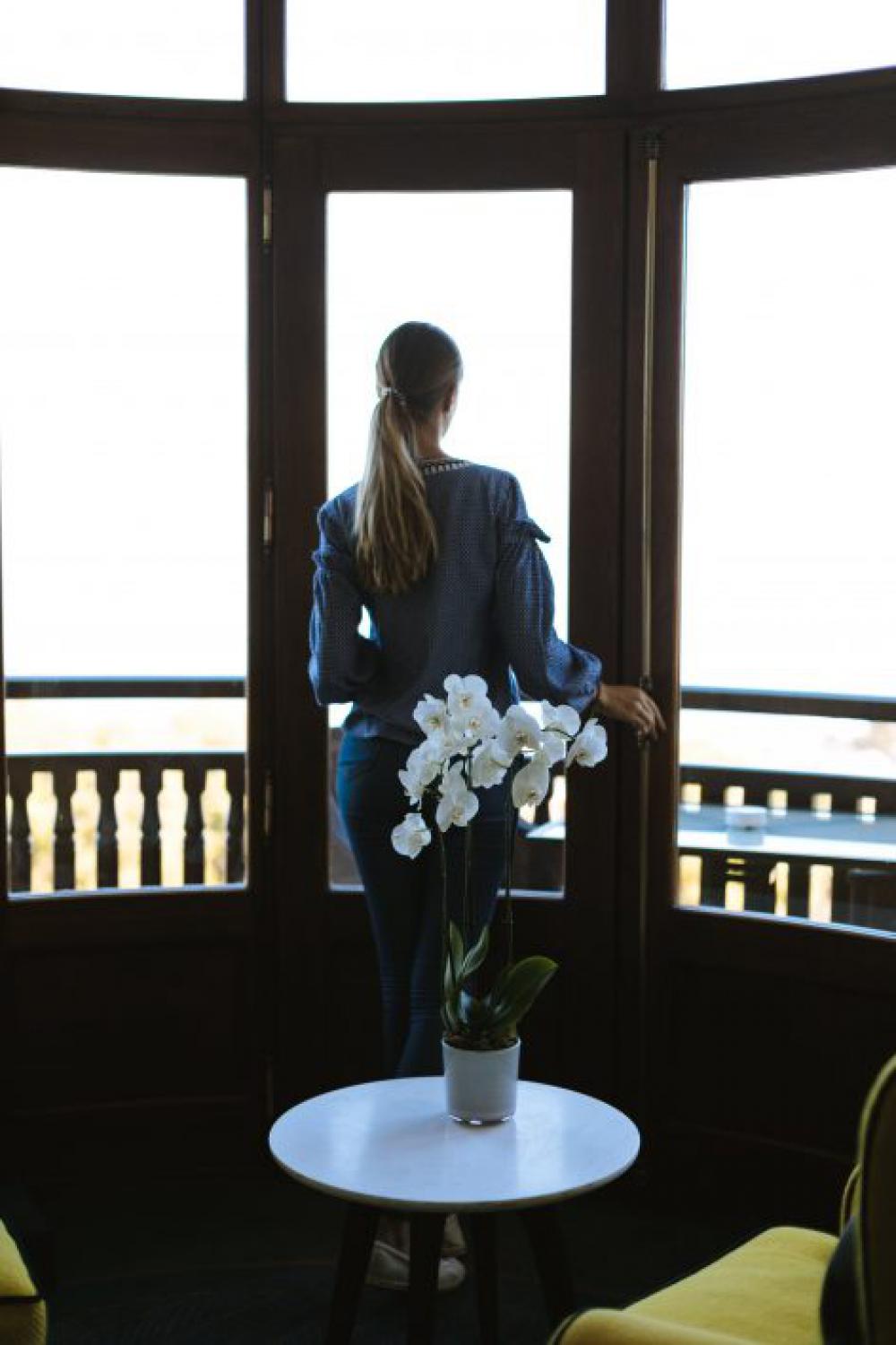 Orchid and Woman by Window Free Photo Orchid and Woman by Window Free Photo