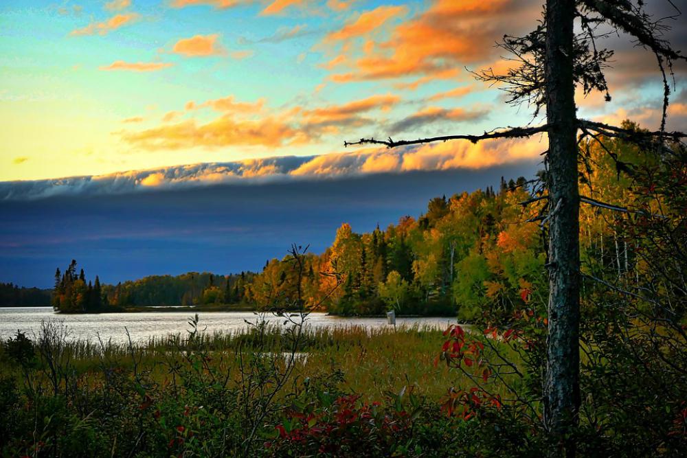 Landscape Nature Trees Fall Green Colors Scenic Landscape Nature Trees Fall Green Colors Scenic