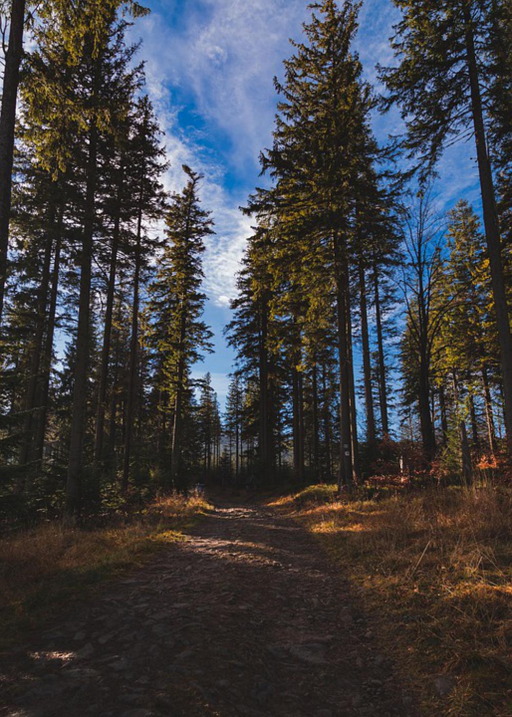 Pilsko Beskidy Beskids Poland Mountains Landscape Pilsko Beskidy Beskids Poland Mountains Landscape
