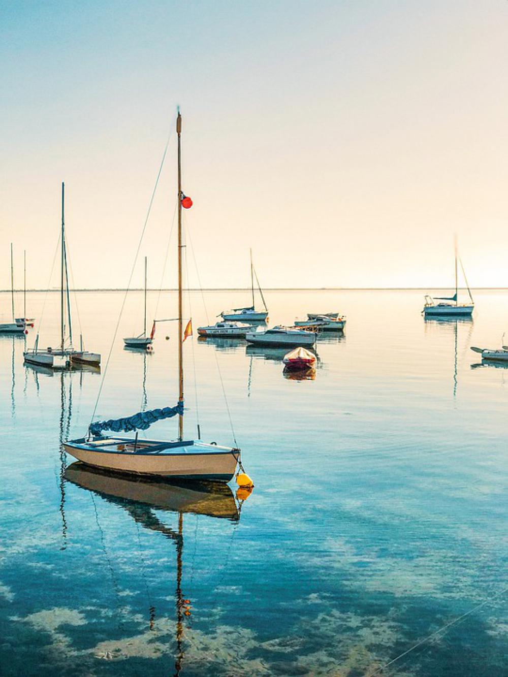 Sailboats Sea Sailing Nautical Horizon Stillness Sailboats Sea Sailing Nautical Horizon Stillness