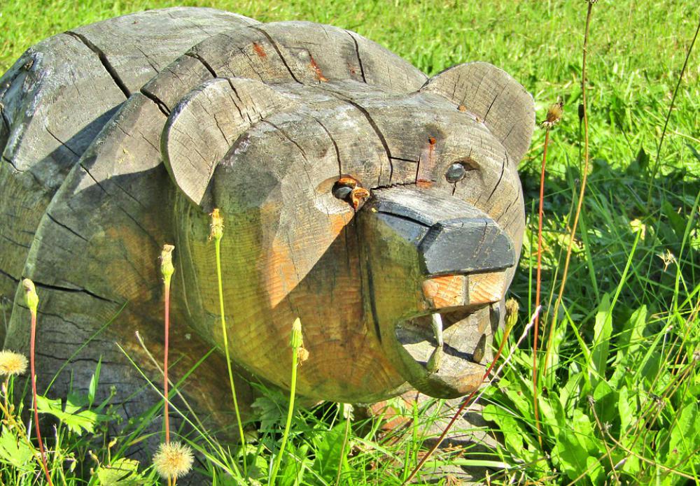 Bear Tooth Dangerous Wood Figure Statue Meadow Bear Tooth Dangerous Wood Figure Statue Meadow
