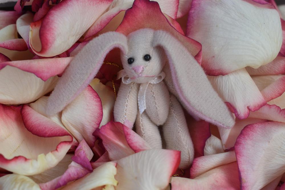 Bunny Cute Easter Animal Adorable Outdoors Bunny Cute Easter Animal Adorable Outdoors