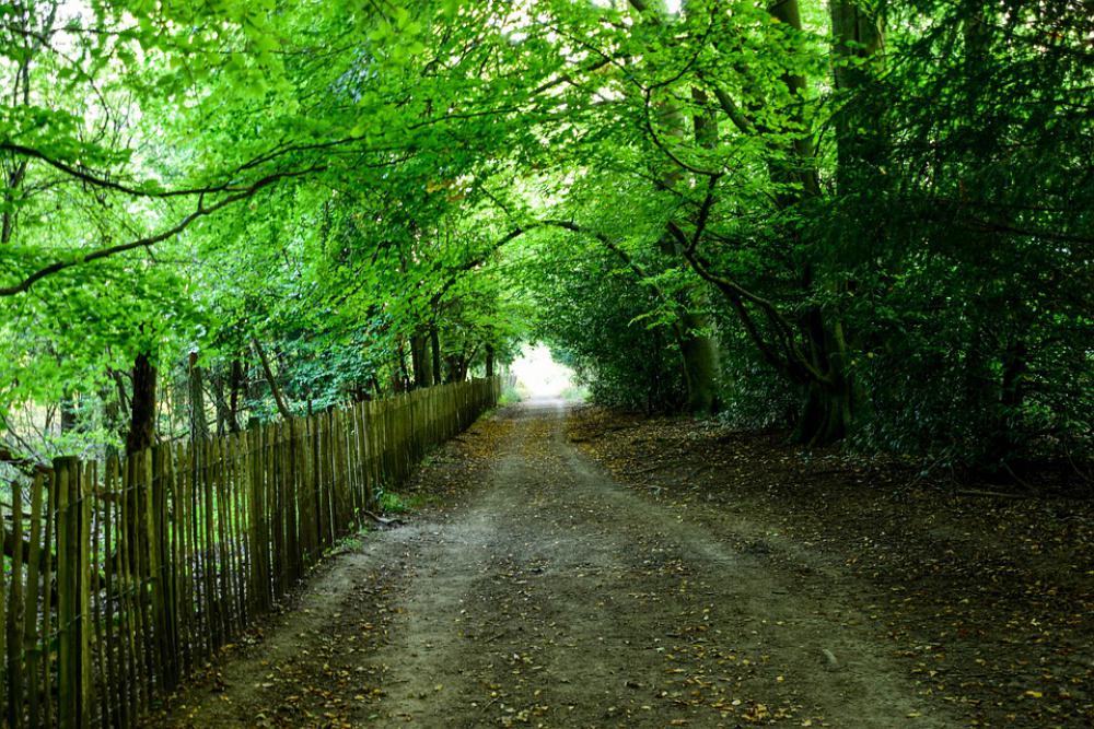 Nature Autumn Landscape Nice Nature Autumn Landscape Nice