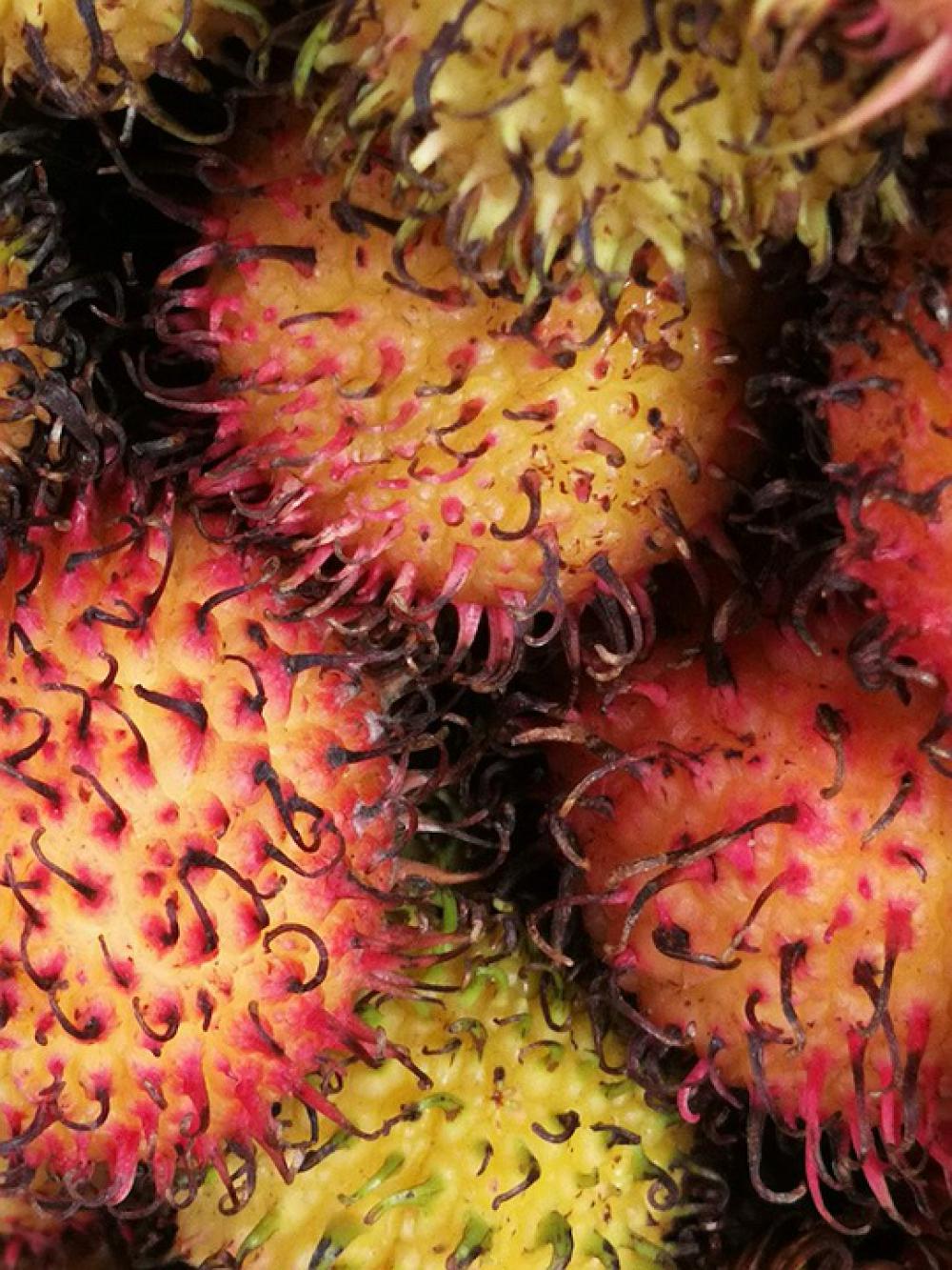 Rambutan Fruit Market Power Costs Vitamins Rambutan Fruit Market Power Costs Vitamins