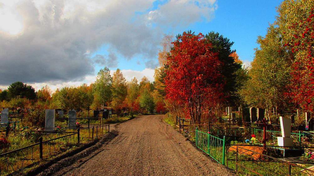 Road Cemetery Autumn Trees Graves Grave Death Road Cemetery Autumn Trees Graves Grave Death