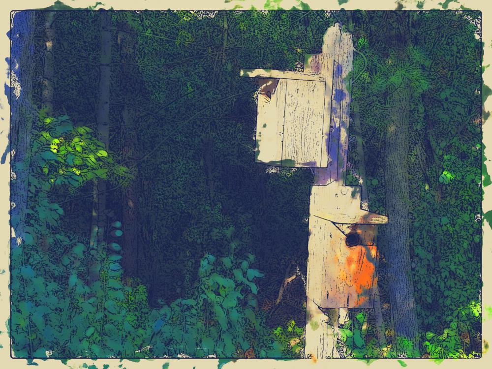 Bird Houses Bird Houses