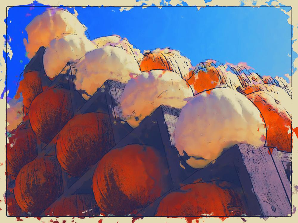 Pumpkins Pumpkins