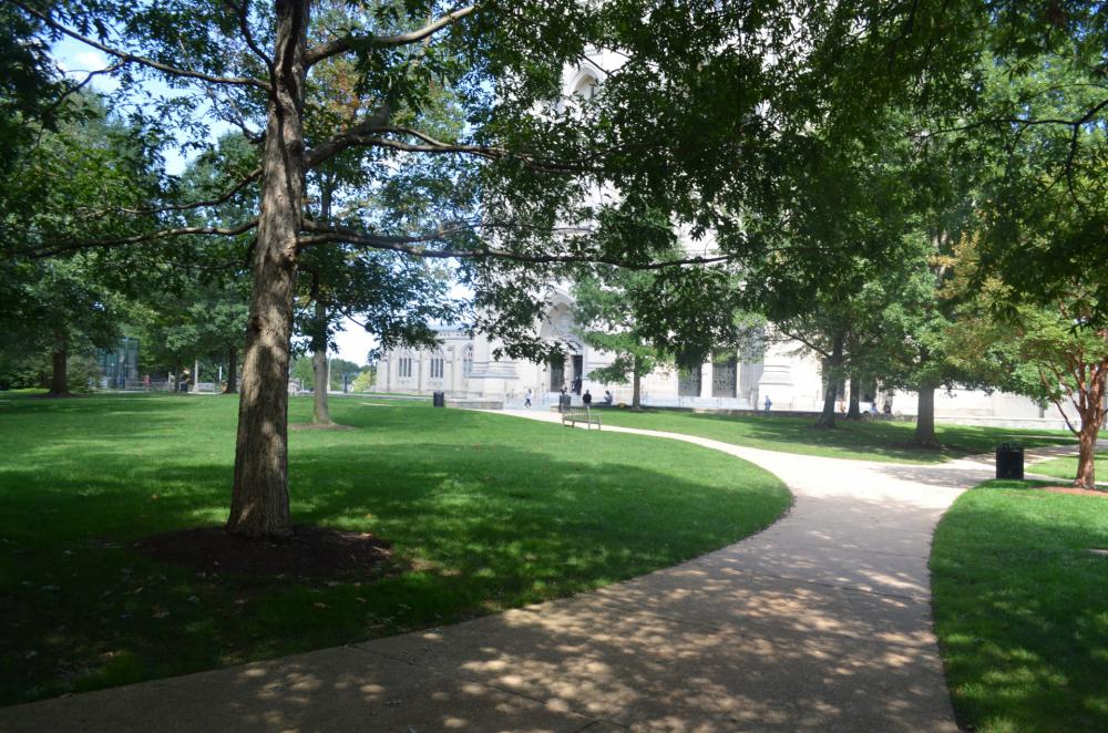 Sidewalk Sidewalk