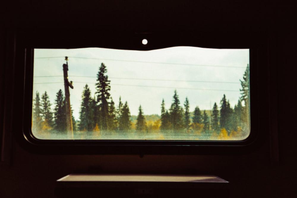 View from train View from train