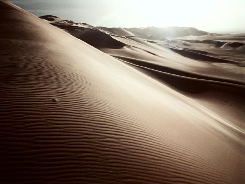 Still in the desert... Still in the desert...