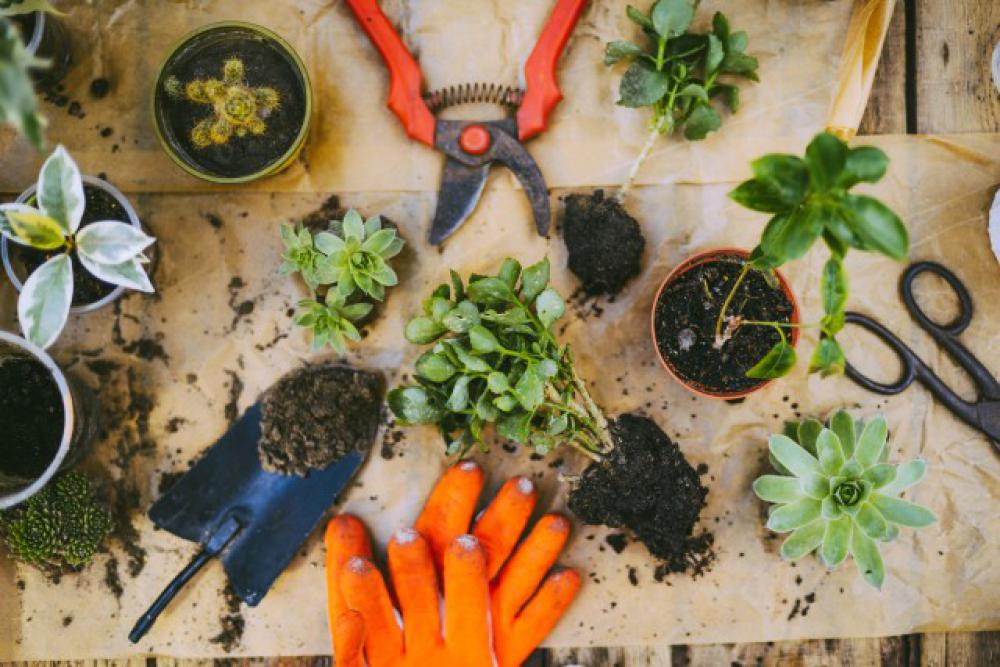 Gardeners hand planting flowers in pot with dirt or soil. Gardeners hand planting flowers in pot with dirt or soil.