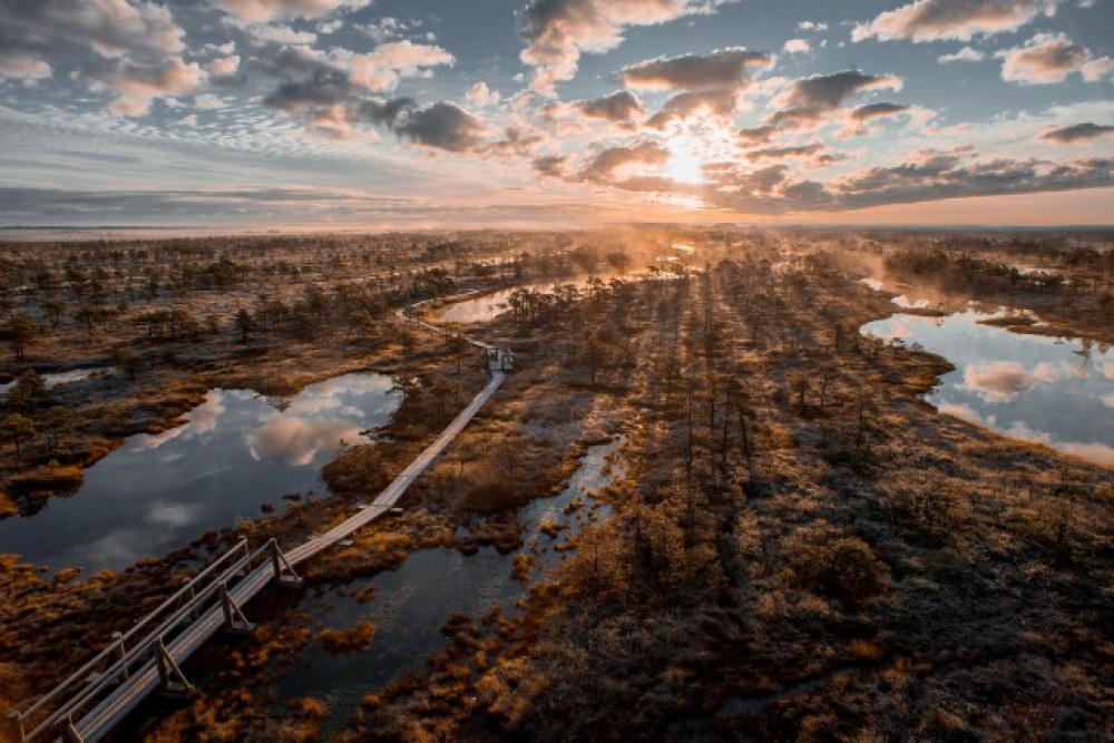 Early morning autumn sunrise in the bog Kemeri,Latvia Early morning autumn sunrise in the bog Kemeri,Latvia