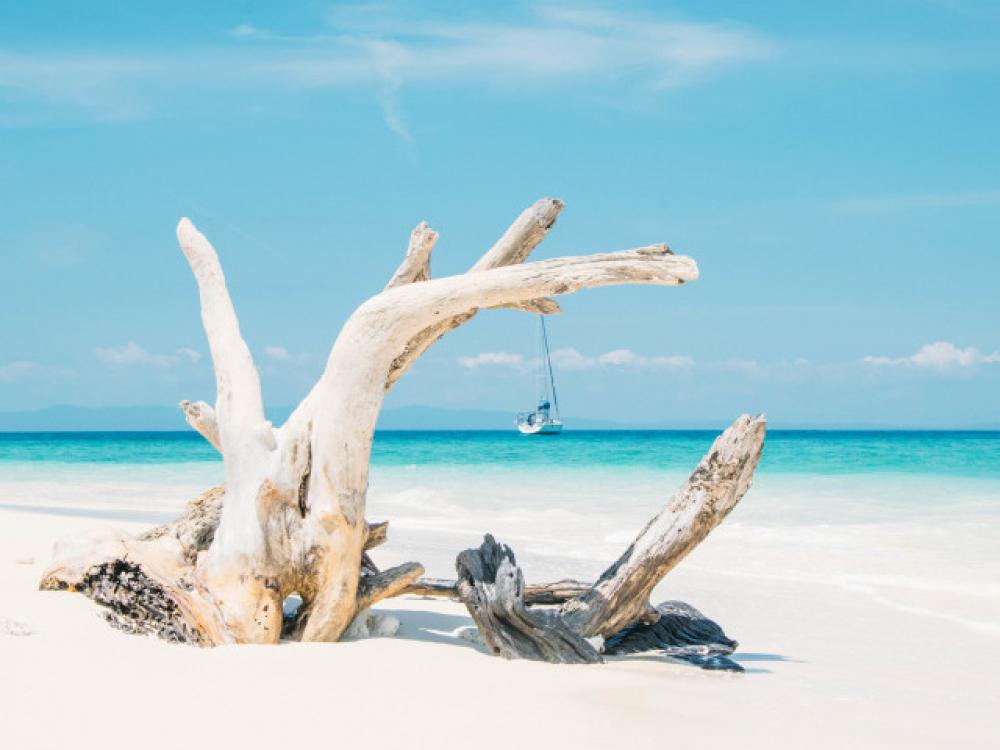 Paradise in Andaman Islands - India with a sailing boat framed within dead woods on a sandy beach Paradise in Andaman Islands - India with a sailing boat framed within dead woods on a sandy beach