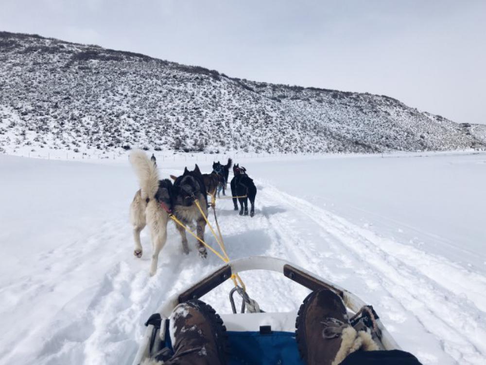 Dog sledding Dog sledding