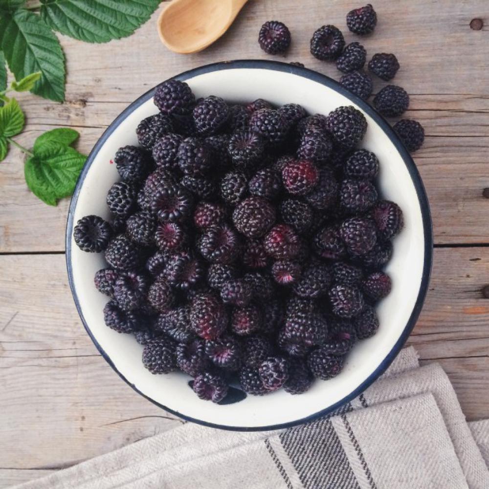 Black raspberry Black raspberry