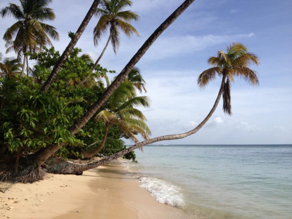 My favourite Caribbean beach My favourite Caribbean beach