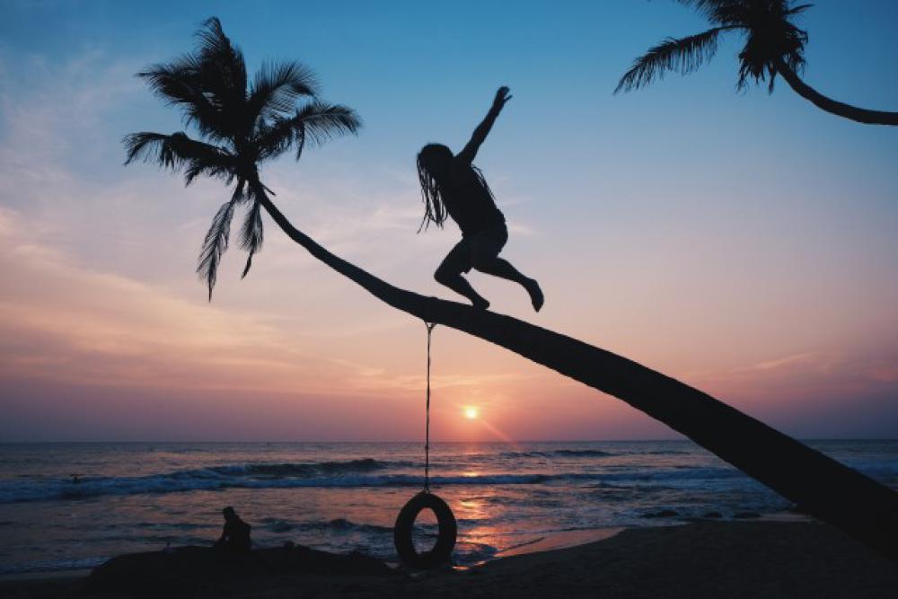 Magic palm with magic sunset Magic palm with magic sunset