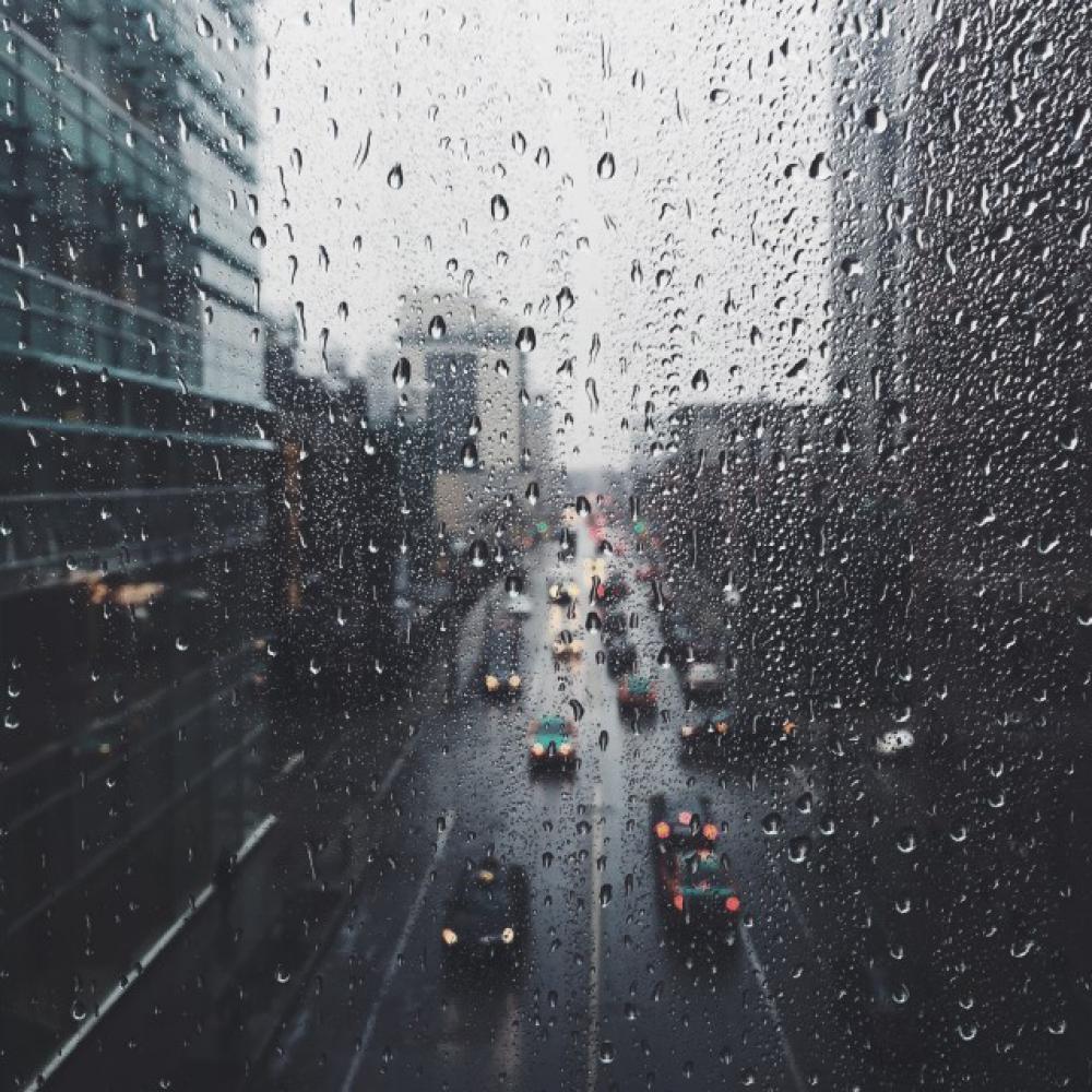 Rainy Daze Rainy Daze